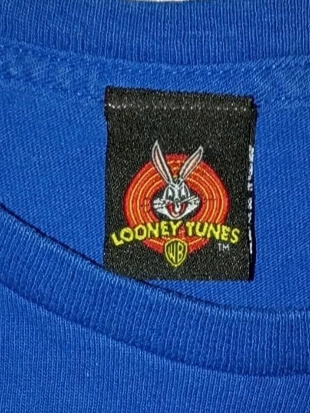 Looney Tunes Shirt Mens XL Blue Tasmanian Devil Grunge 90s Rare - Picture 3 of 4